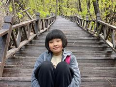-天女山森林公园
