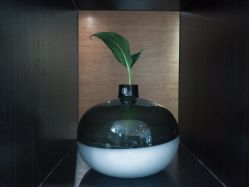 点击看大图 大厅-东方麒麟·潘多拉SALON