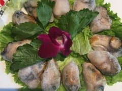 阳江外海爆浆生蚝-锦城印象火锅(天府三街店)
