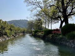 -树山生态村