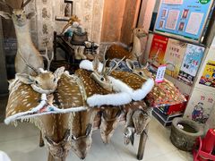 -乔家满族八大碗(中兴路店)