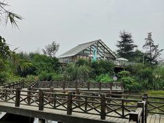 -桤木河湿地公园