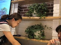 -拌面小当家