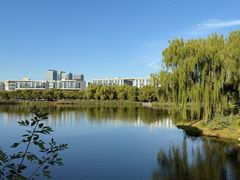 -大兴滨河森林公园