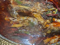 -肥家大排档(天河体育西店)