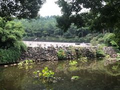 -九龙潭景区