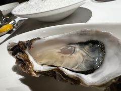 -Oyster Talks 四度蚝法餐厅