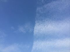 iphone_upload_pic-泗洪洪泽湖湿地景区