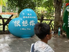 -西双版纳原始森林公园