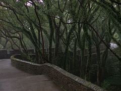 -台州府城(江南长城)