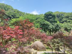 -广州市帽峰山景区
