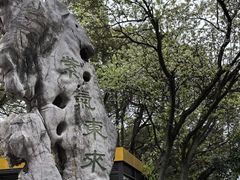 -宜兴张公洞
