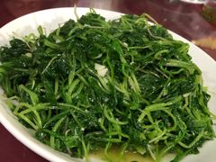 -韩家大院生态农庄