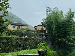 -芦茨金富饭庄·25年老字号·专做稻草鸡