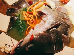 蒸汽长江黑洄鱼-滇小鱼·云南野生菌火锅(上杭路店)