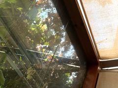 -谷咖啡·鲜花绿植花园餐厅