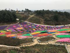 -都江堰玫瑰花溪谷