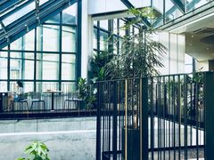 大堂-大树餐厅(红旗街万达店)