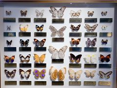 -上海昆虫博物馆