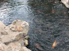 -龙达温泉生态城