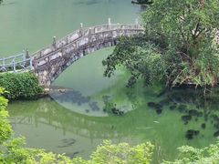 -靖西鹅泉风景区