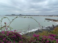 -漳州滨海火山岛自然生态风景区