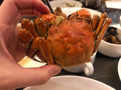 -圣雷克大酒店-爱琴海自助餐厅