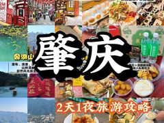 -鼎香皇高佬苏裹蒸粽