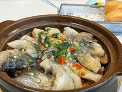 -点都德·毕德寮