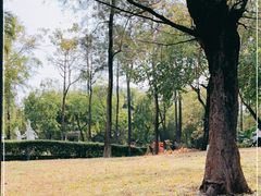 -晓港公园