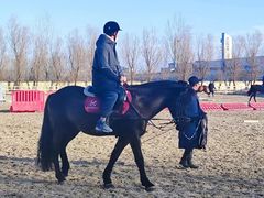 -北京群众马术培训基地