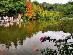 -云溪植物园