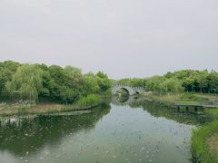 -尚贤河湿地