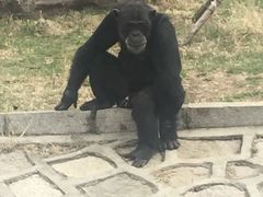 -哈尔滨北方森林动物园