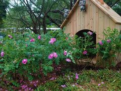 -人民公园(罗湖区)