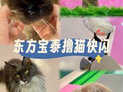 -PO PARK东方宝泰