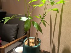 -悦融·京鲁菜·露台花园(安定门店)