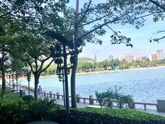 -白鹭洲公园