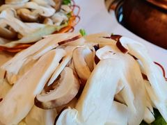-菌海森林·非遗野生菌火锅(西山区滇池路摩根道店)