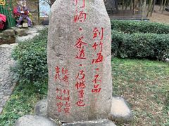 -陶祖圣境风景区