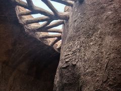 -西侯度遗址