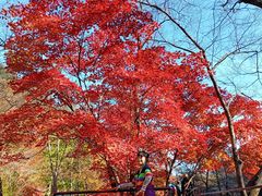 -丹东天桥沟景区