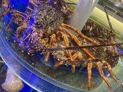 -新海渔港·胶东海鲜家常菜·家宴(奥体中心店)