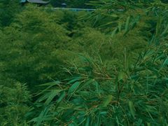-陶祖圣境风景区