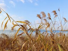 -苏州太湖国际高尔夫俱乐部