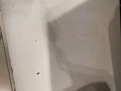-比格比萨自助(新辰里学清路店)