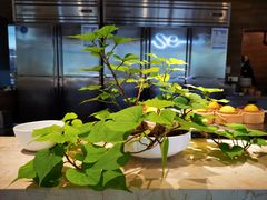 -旺顺阁海鲜广场(亚运村店)