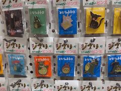 -猫的天空之城概念书店(束河店)