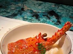 -風料理.鮨Omakase