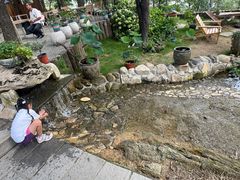 -沂蒙山旅游区云蒙景区(蒙山国家森林公园)